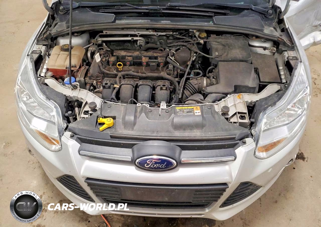 2014 Ford Focus Se VIN:1FADP3F23EL144144 - 11