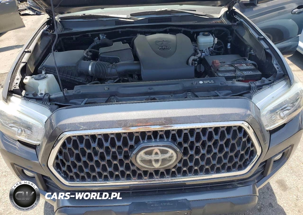 2019 Toyota Tacoma Trd Off-Road VIN:3TMDZ5BN2KM059189 - 11