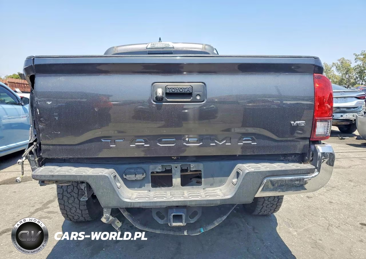 2019 Toyota Tacoma Trd Off-Road VIN:3TMDZ5BN2KM059189 - 6
