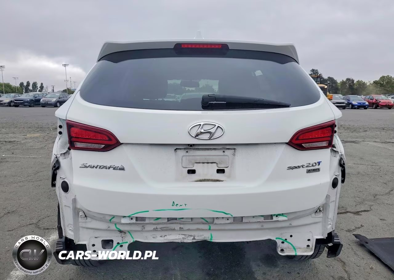 2017 Hyundai Santa Fe Sport 2.0T Ultimate VIN:5XYZW4LA1HG501826 - 6