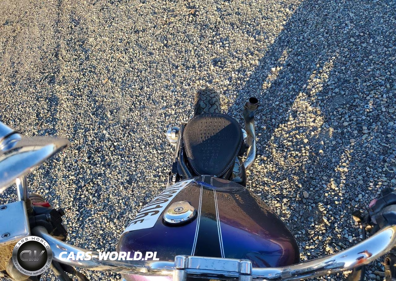 1995 Yamaha Xv1100 VIN:JYA1TAC06SA021327 - 5
