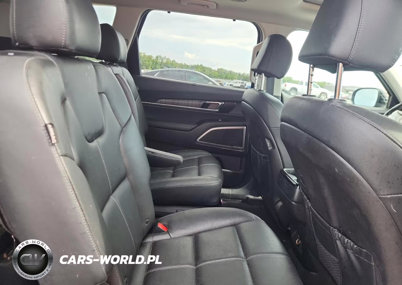 2024 Kia Telluride Ex VIN:5XYP34GC6RG482722 - 10