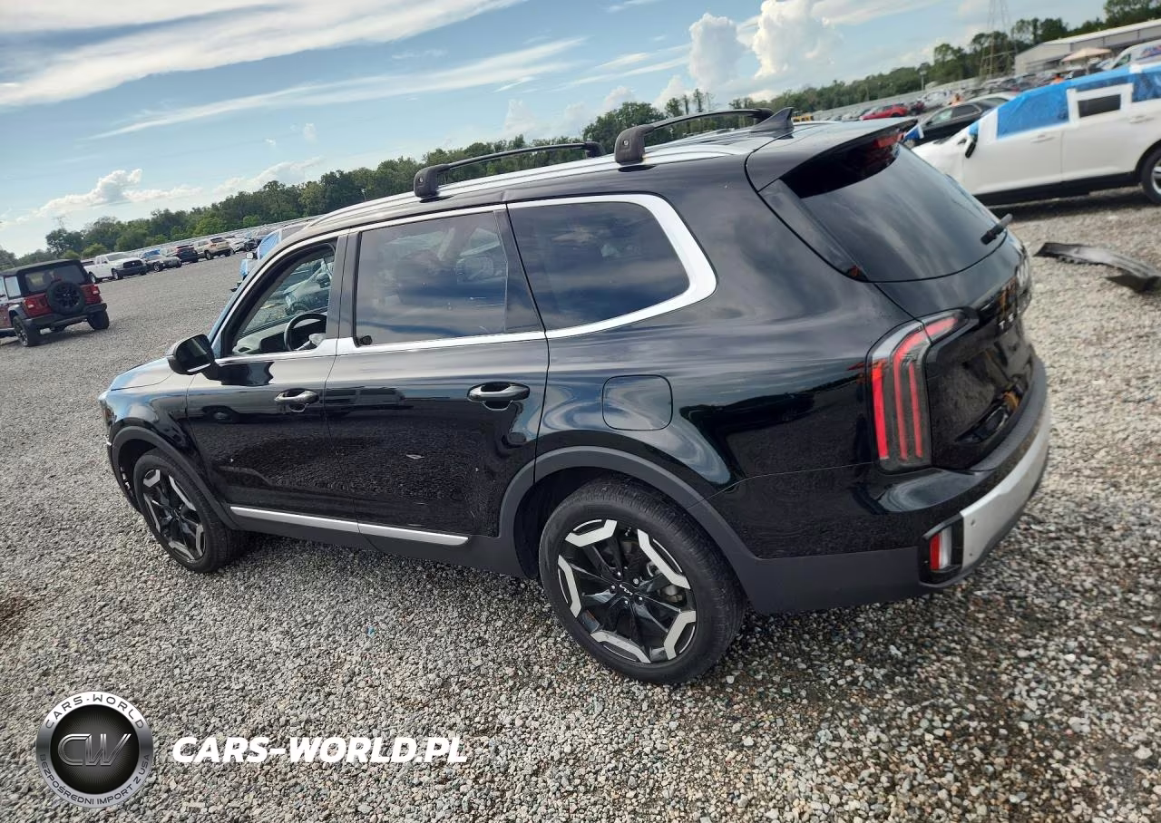 2024 Kia Telluride Ex VIN:5XYP34GC6RG482722 - 2
