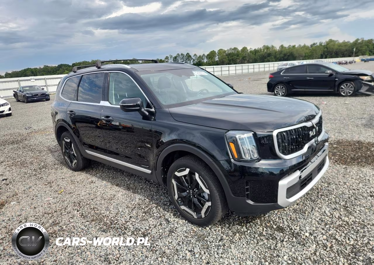 2024 Kia Telluride Ex VIN:5XYP34GC6RG482722 - 4