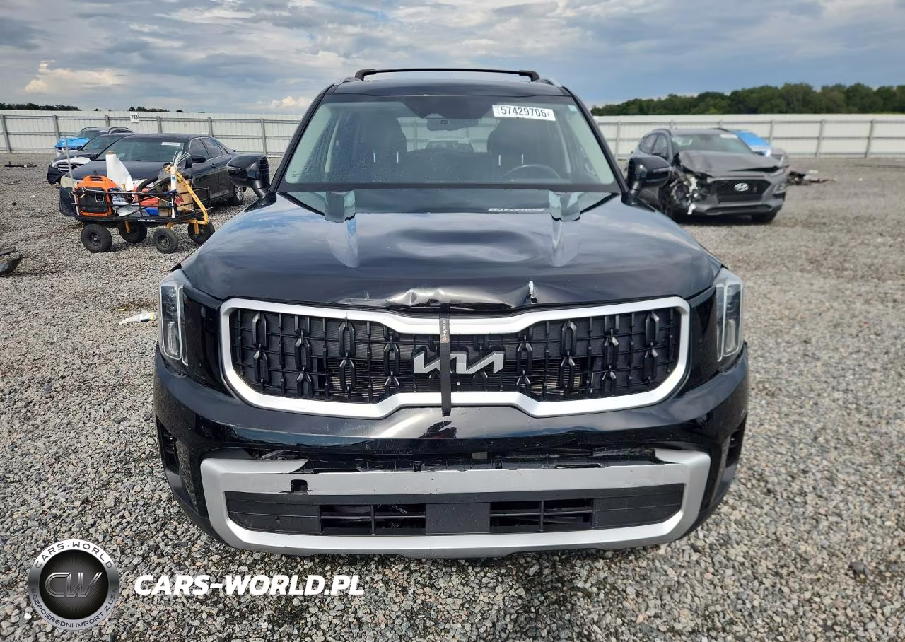 2024 Kia Telluride Ex VIN:5XYP34GC6RG482722 - 5