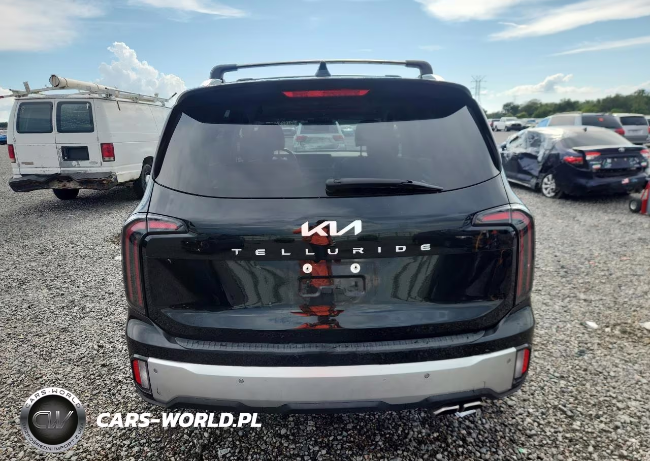 2024 Kia Telluride Ex VIN:5XYP34GC6RG482722 - 6