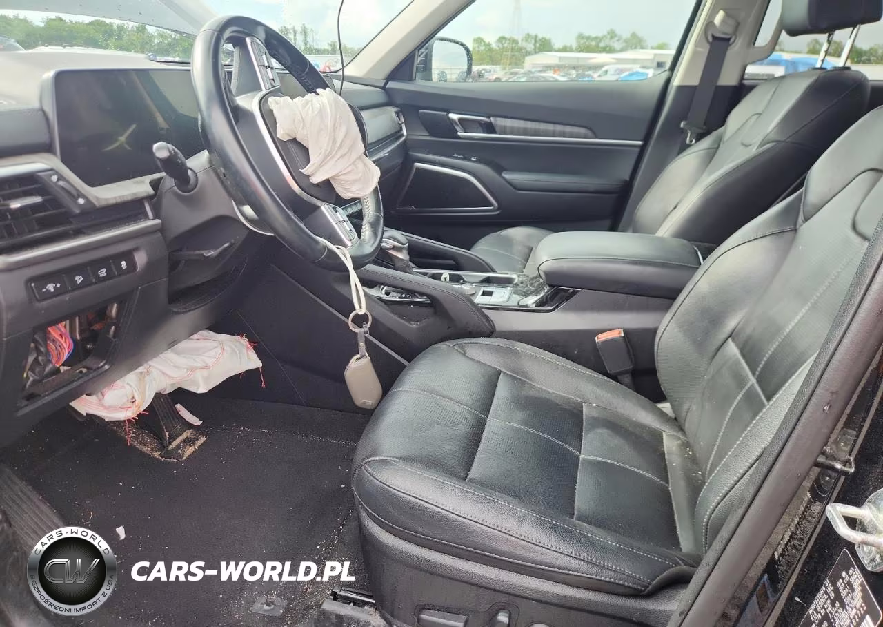 2024 Kia Telluride Ex VIN:5XYP34GC6RG482722 - 7