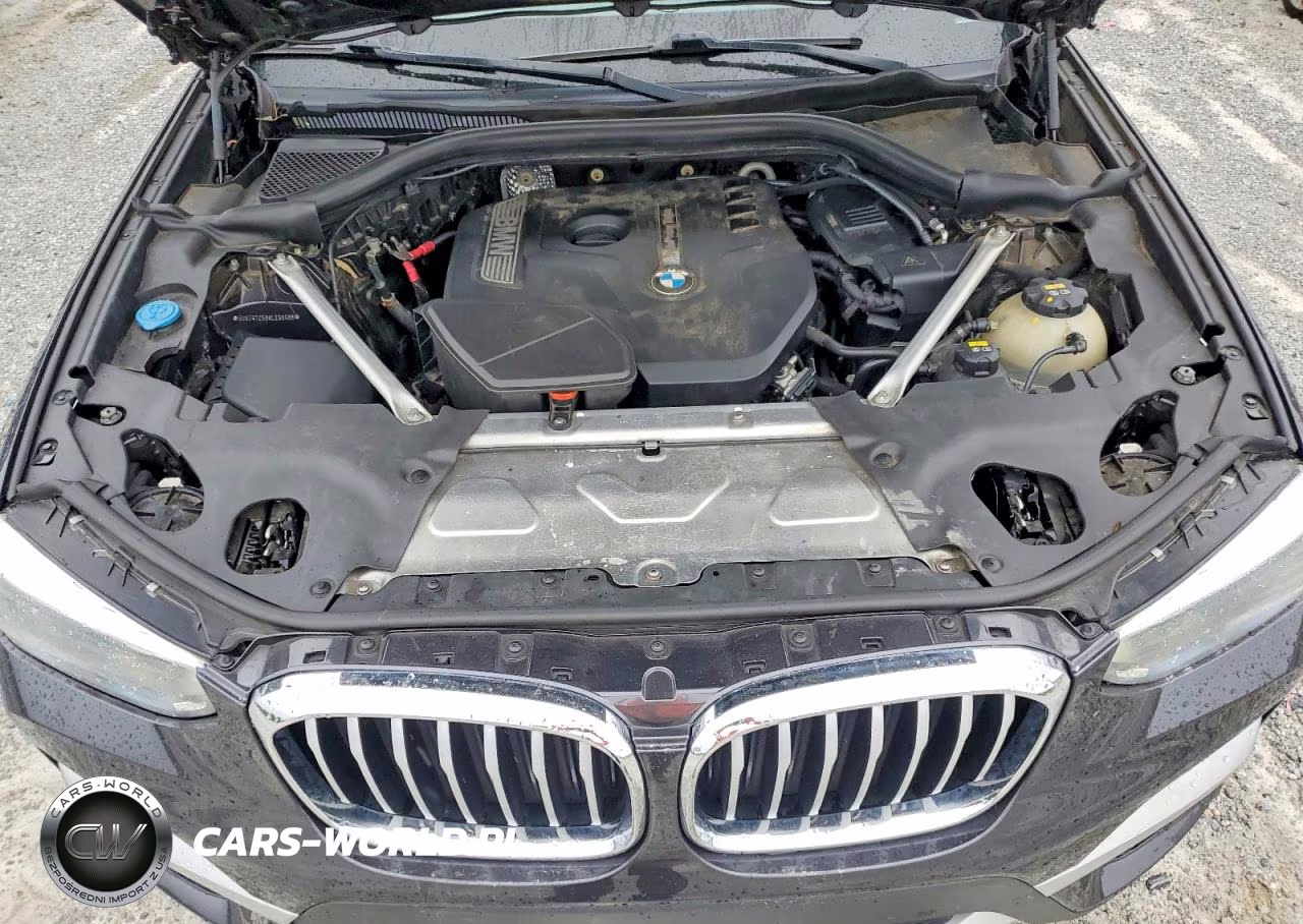 2019 BMW X3 Sdrive30I VIN:5UXTR7C58KLE98986 - 12
