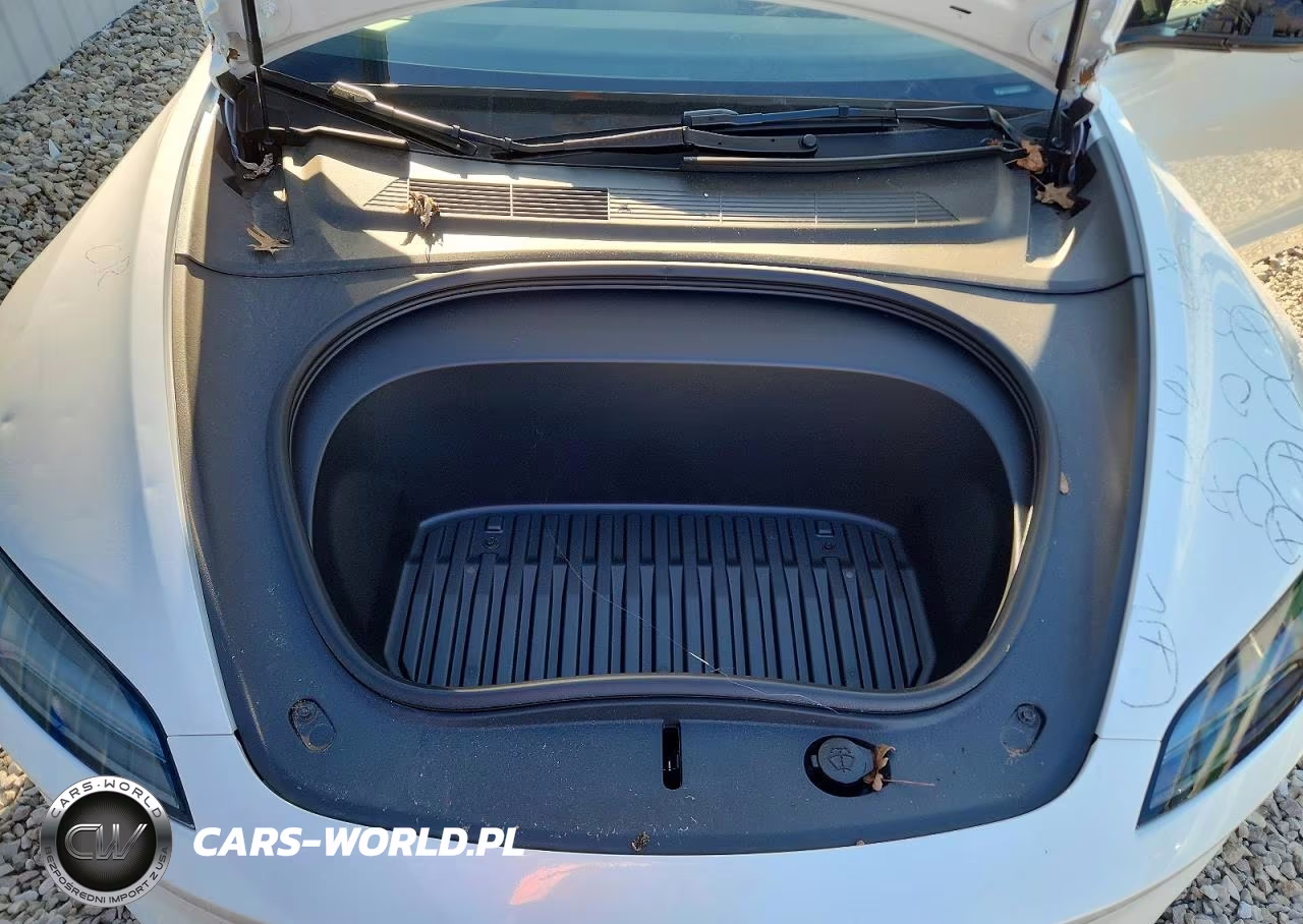 2025 Tesla Model 3 VIN:5YJ3E1EA5SF009979 - 11