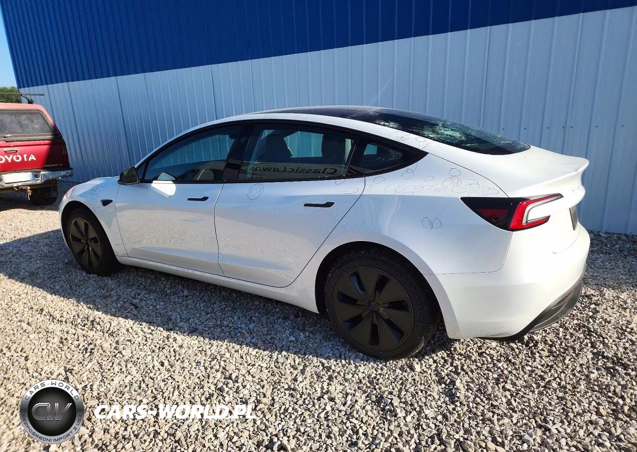 2025 Tesla Model 3 VIN:5YJ3E1EA5SF009979 - 2