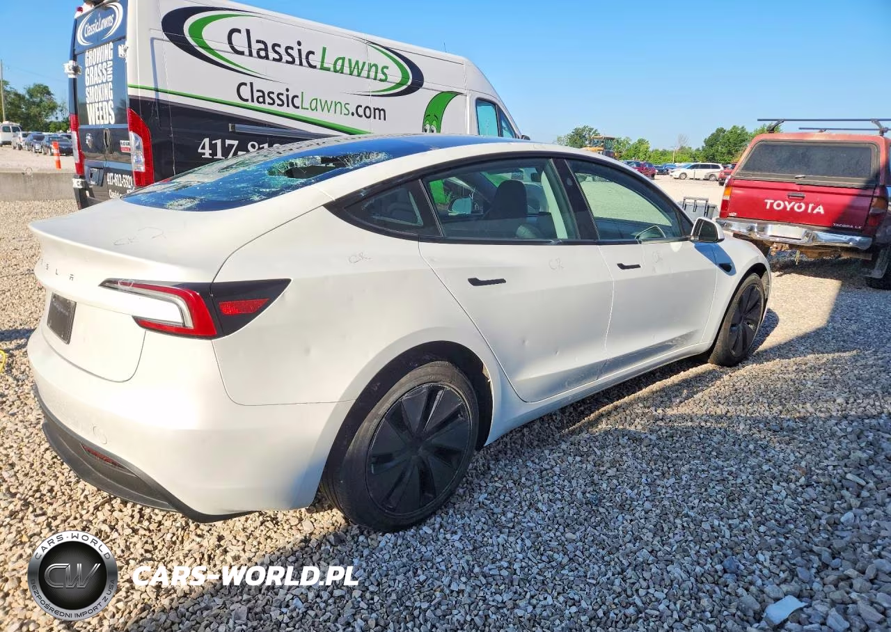 2025 Tesla Model 3 VIN:5YJ3E1EA5SF009979 - 3