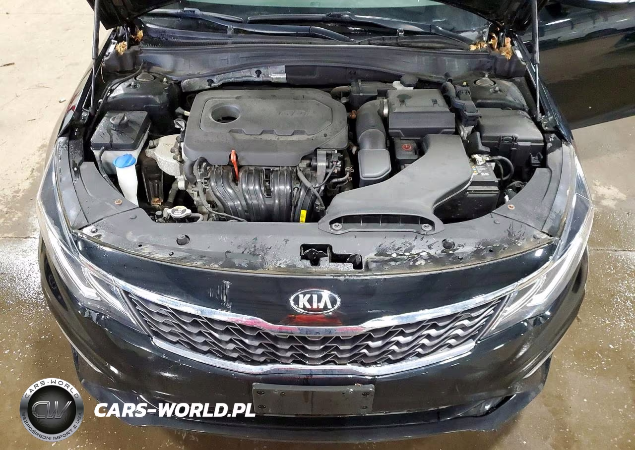 2019 Kia Optima Lx VIN:5XXGT4L36KG311257 - 11