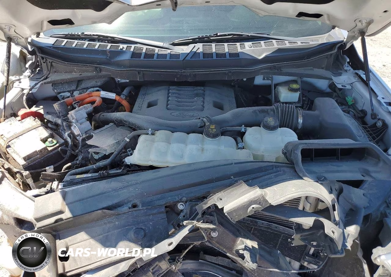 2022 Ford F150 Supercrew VIN:1FTFW1ED3NFB50893 - 11