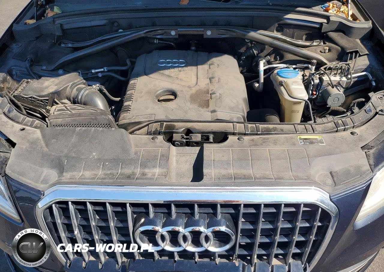 2013 Audi Q5 Premium Plus VIN:WA1LFAFP9DA013247 - 11