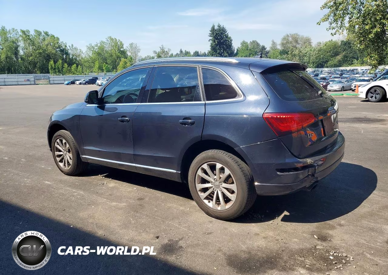 2013 Audi Q5 Premium Plus VIN:WA1LFAFP9DA013247 - 2
