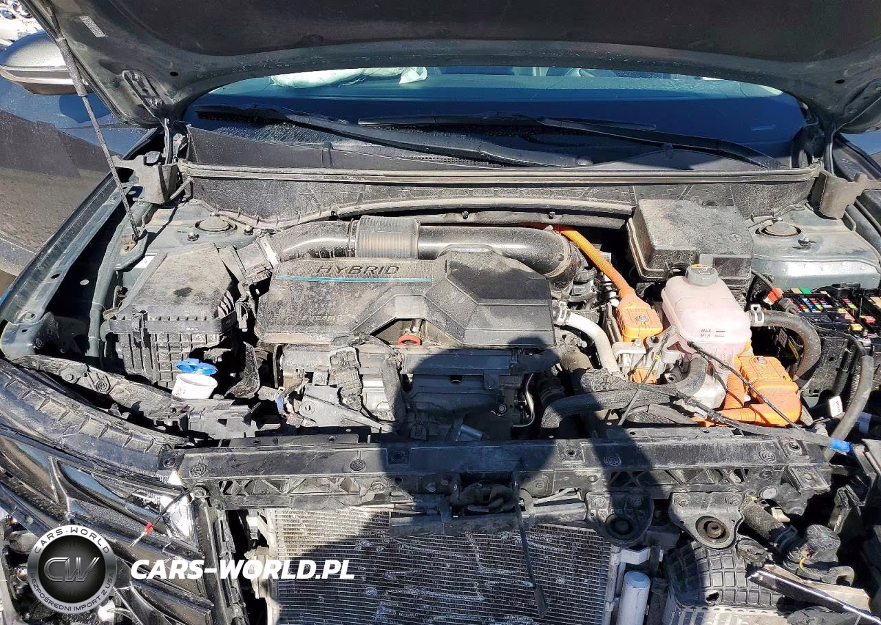 2024 Hyundai Tucson Limited VIN:KM8JECD11RU206553 - 12