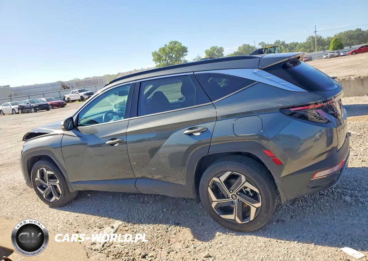 2024 Hyundai Tucson Limited VIN:KM8JECD11RU206553 - 2