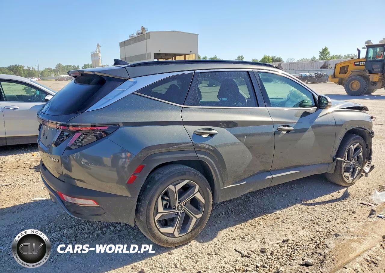 2024 Hyundai Tucson Limited VIN:KM8JECD11RU206553 - 3