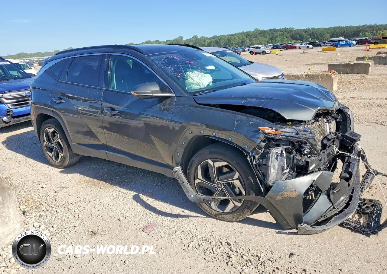 2024 Hyundai Tucson Limited VIN:KM8JECD11RU206553 - 4