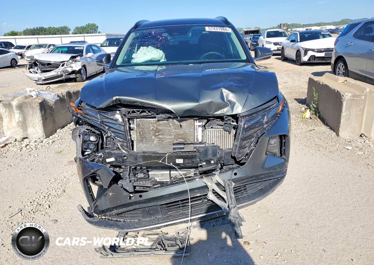 2024 Hyundai Tucson Limited VIN:KM8JECD11RU206553 - 5