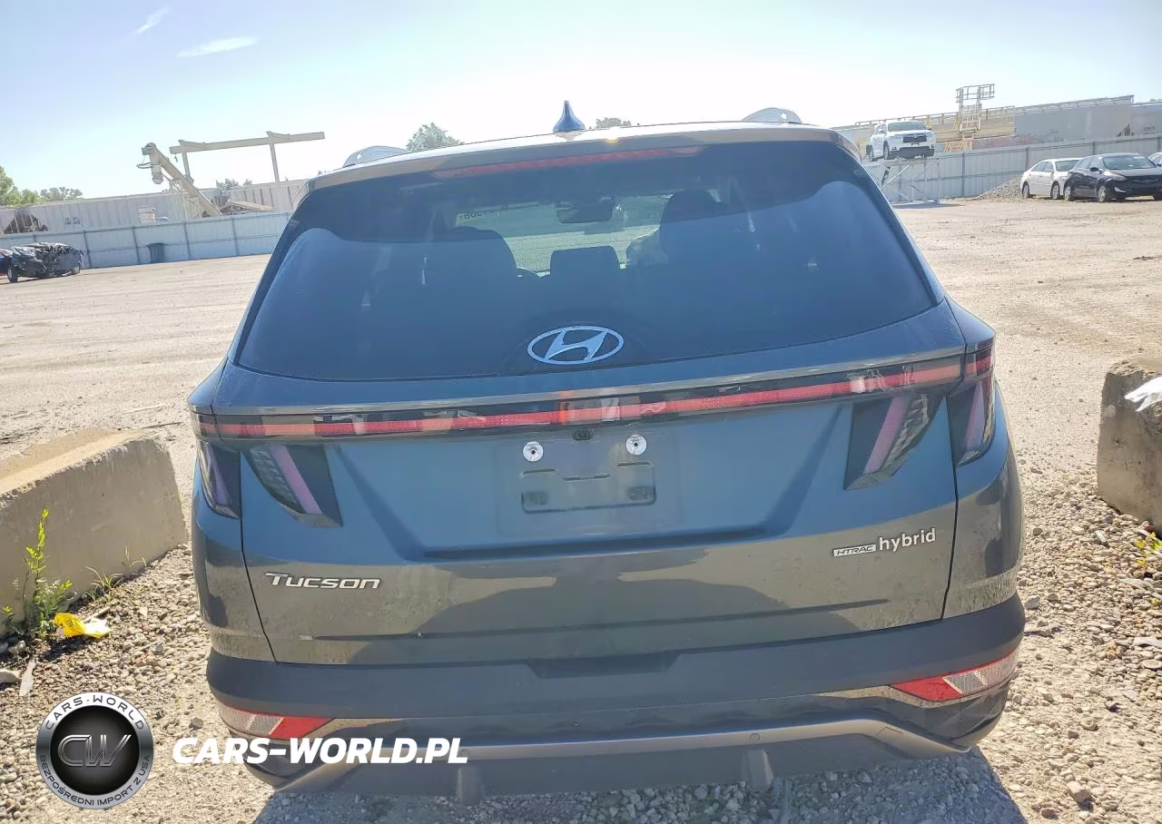 2024 Hyundai Tucson Limited VIN:KM8JECD11RU206553 - 6