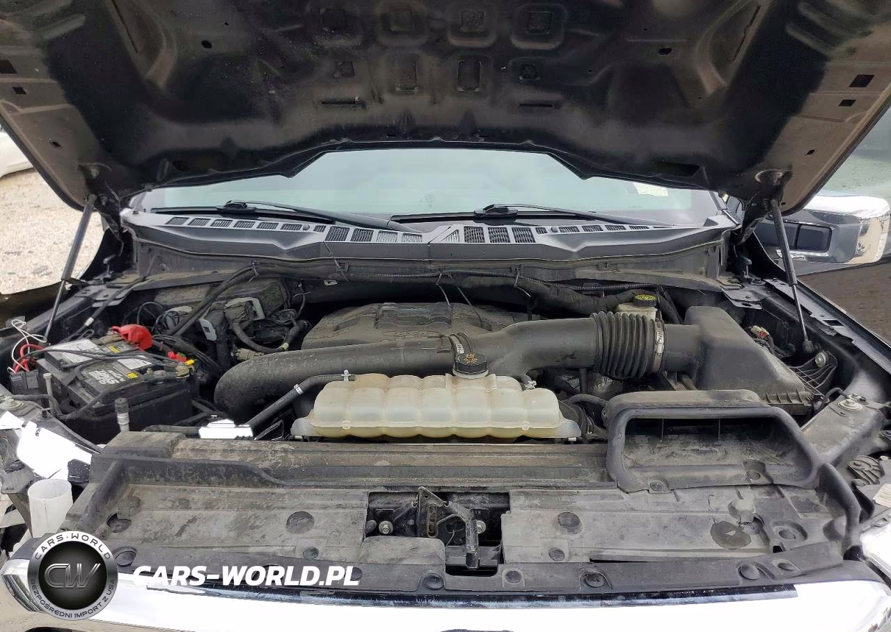 2022 Ford F150 Supercrew VIN:1FTFW1E83NFB33398 - 11