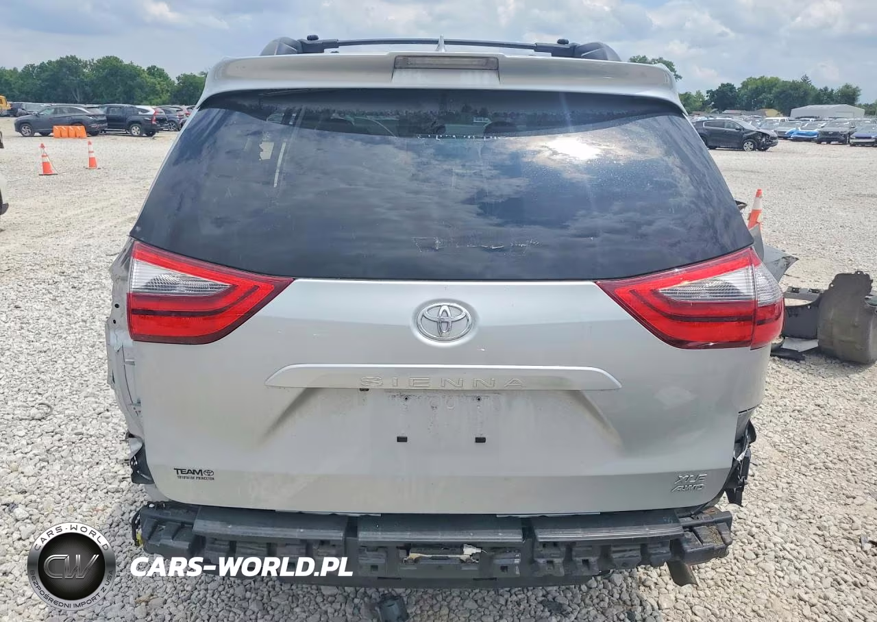 2020 Toyota Sienna Xle 7-Passenger VIN:5TDDZ3DC2LS233862 - 6