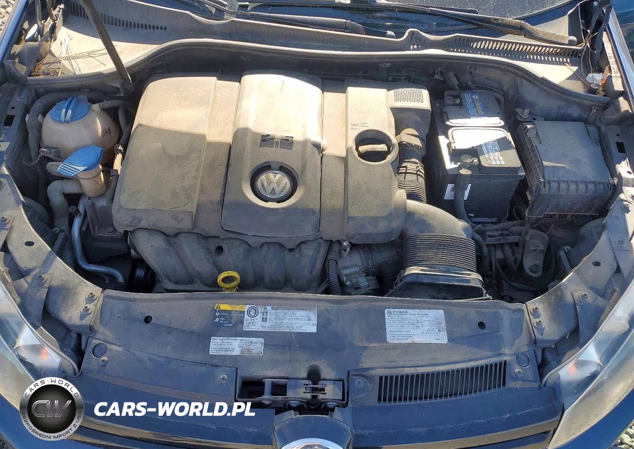2014 Volkswagen Golf VIN:WVWDB7AJ0EW005859 - 11