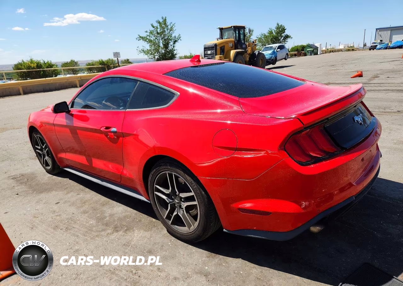 2020 Ford Mustang VIN:1FA6P8THXL5191428 - 2