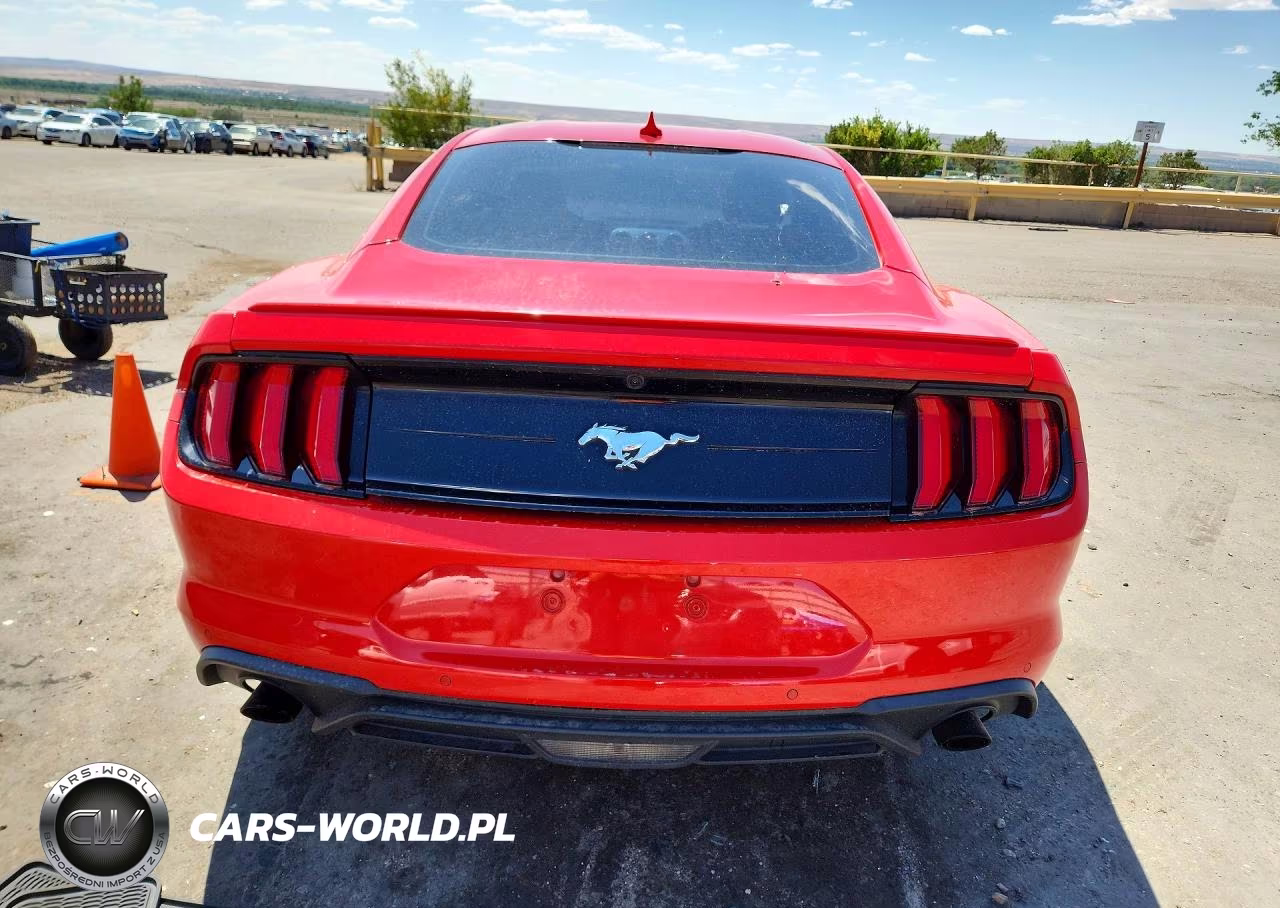 2020 Ford Mustang VIN:1FA6P8THXL5191428 - 6