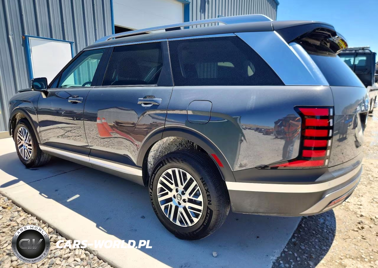 2026 Hyundai Palisade Sel VIN:KM8RLES29TU096925 - 2