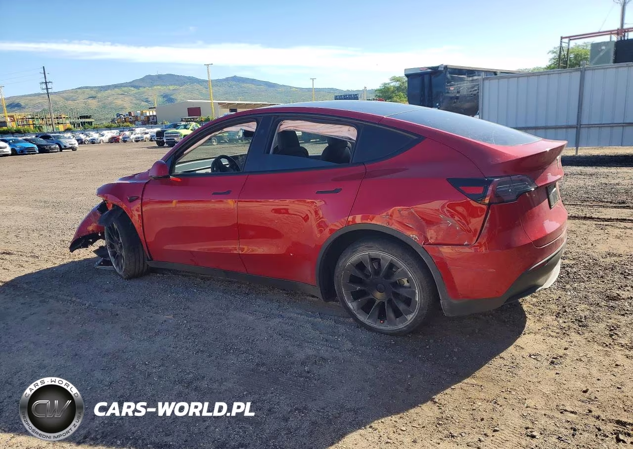 2023 Tesla Model Y VIN:7SAYGDEE8PF928230 - 2