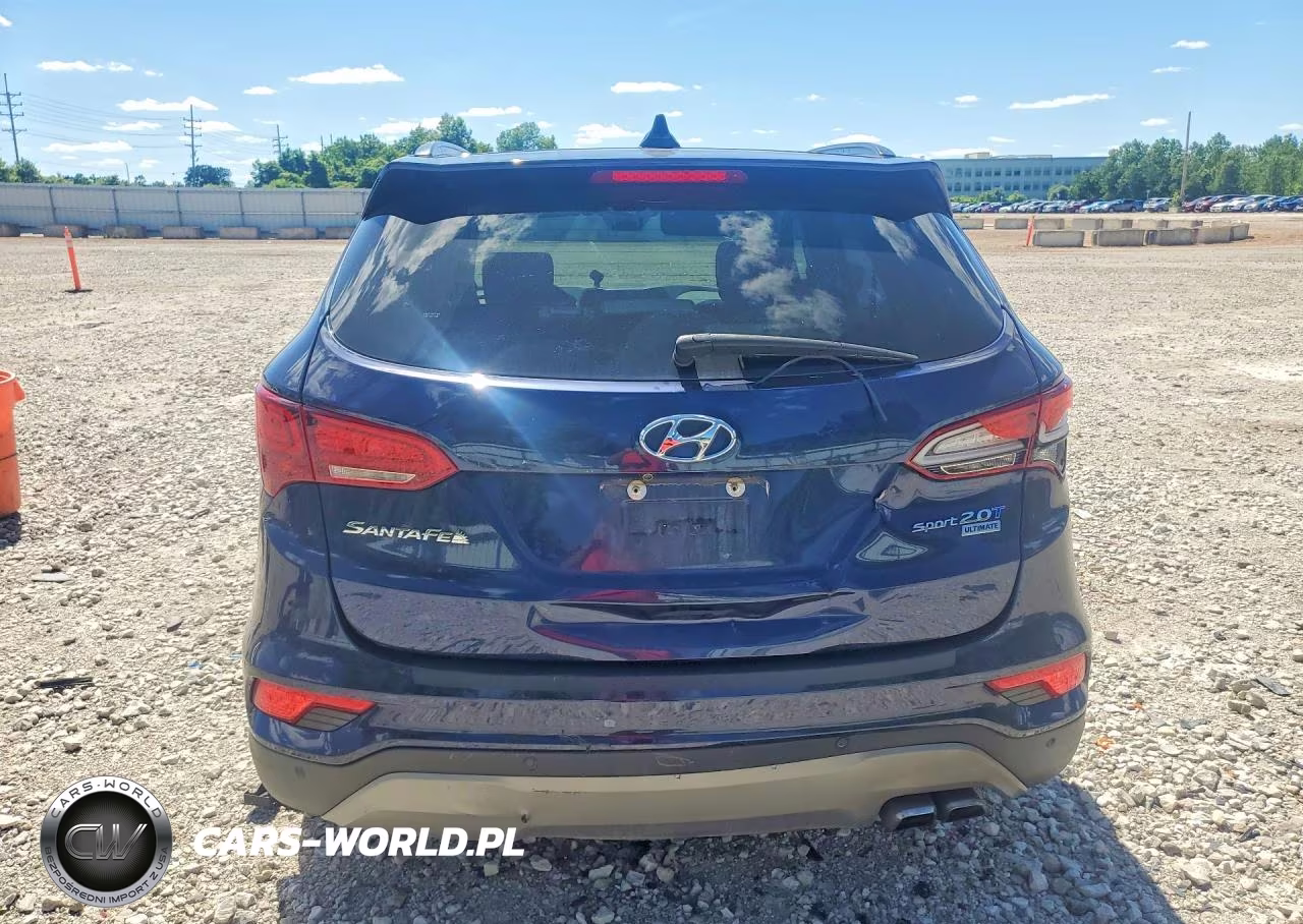 2017 Hyundai Santa Fe Sport 2.0T Ultimate VIN:5XYZW4LA4HG478414 - 6