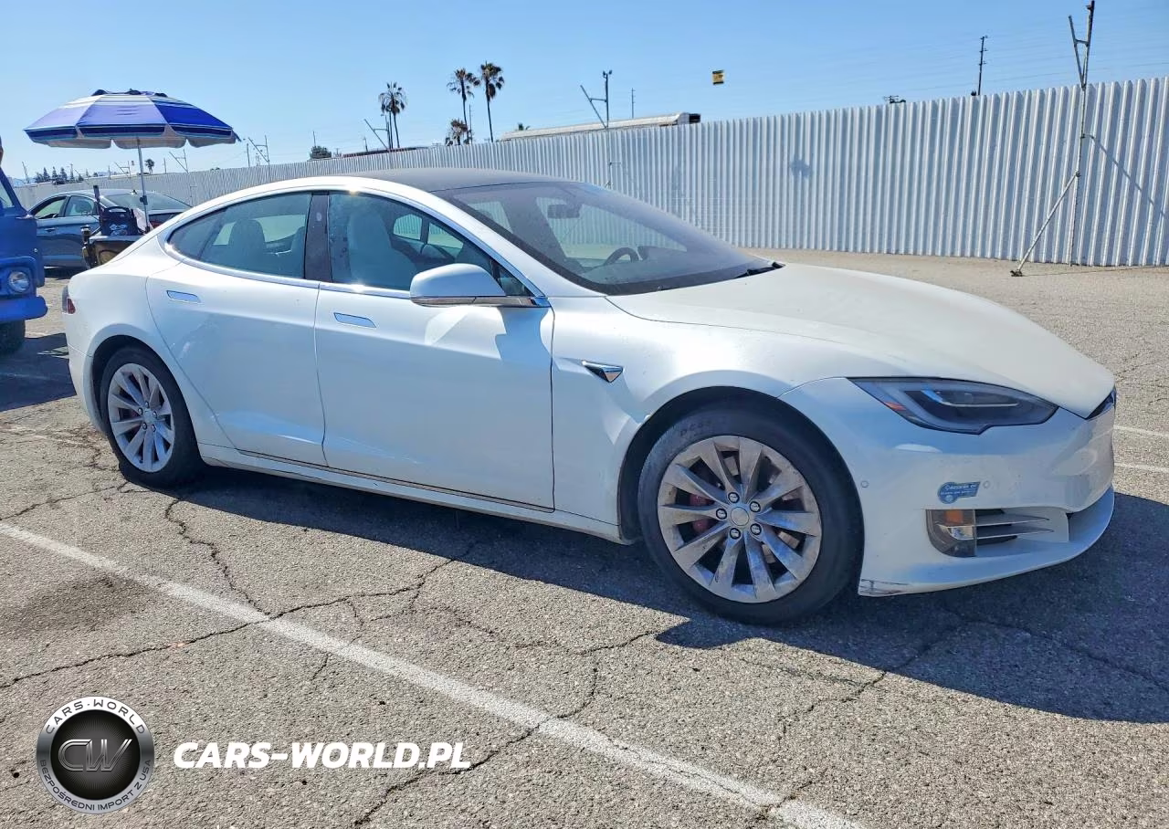 2019 Tesla Model S VIN:5YJSA1E25KF337242 - 4