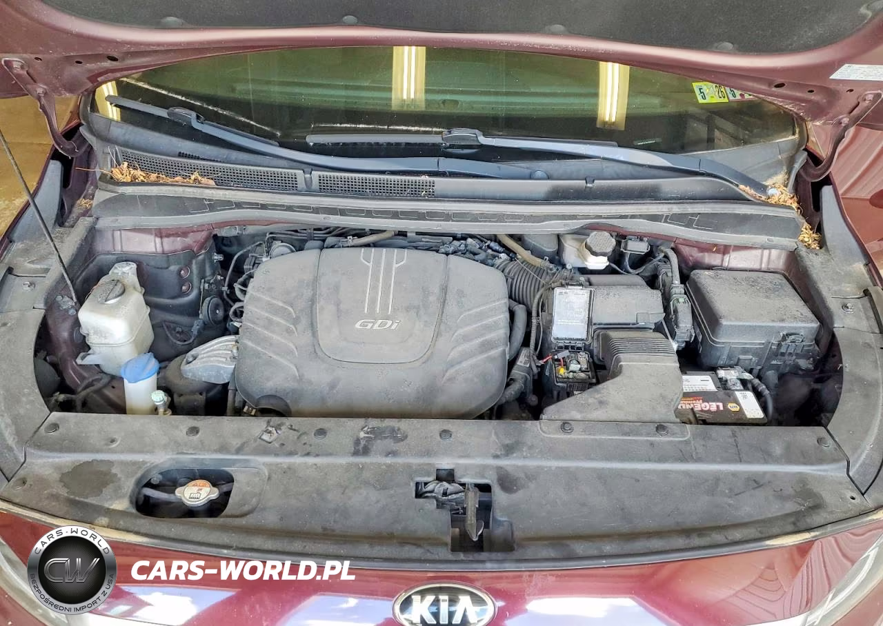 2015 Kia Sedona Sx VIN:KNDMC5C14F6019523 - 12