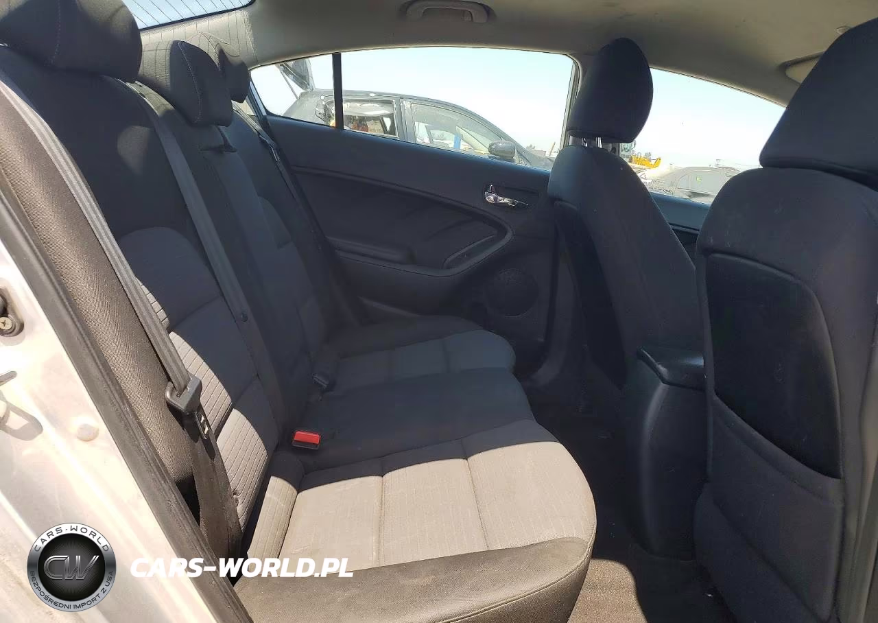 2016 Kia Forte Lx VIN:KNAFX4A6XG5506266 - 10