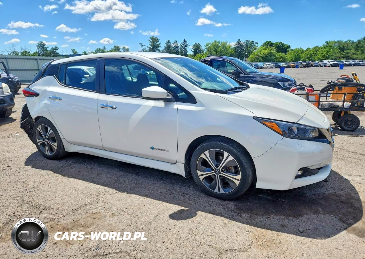 2018 Nissan Leaf Sv VIN:1N4AZ1CP9JC304880 - 4