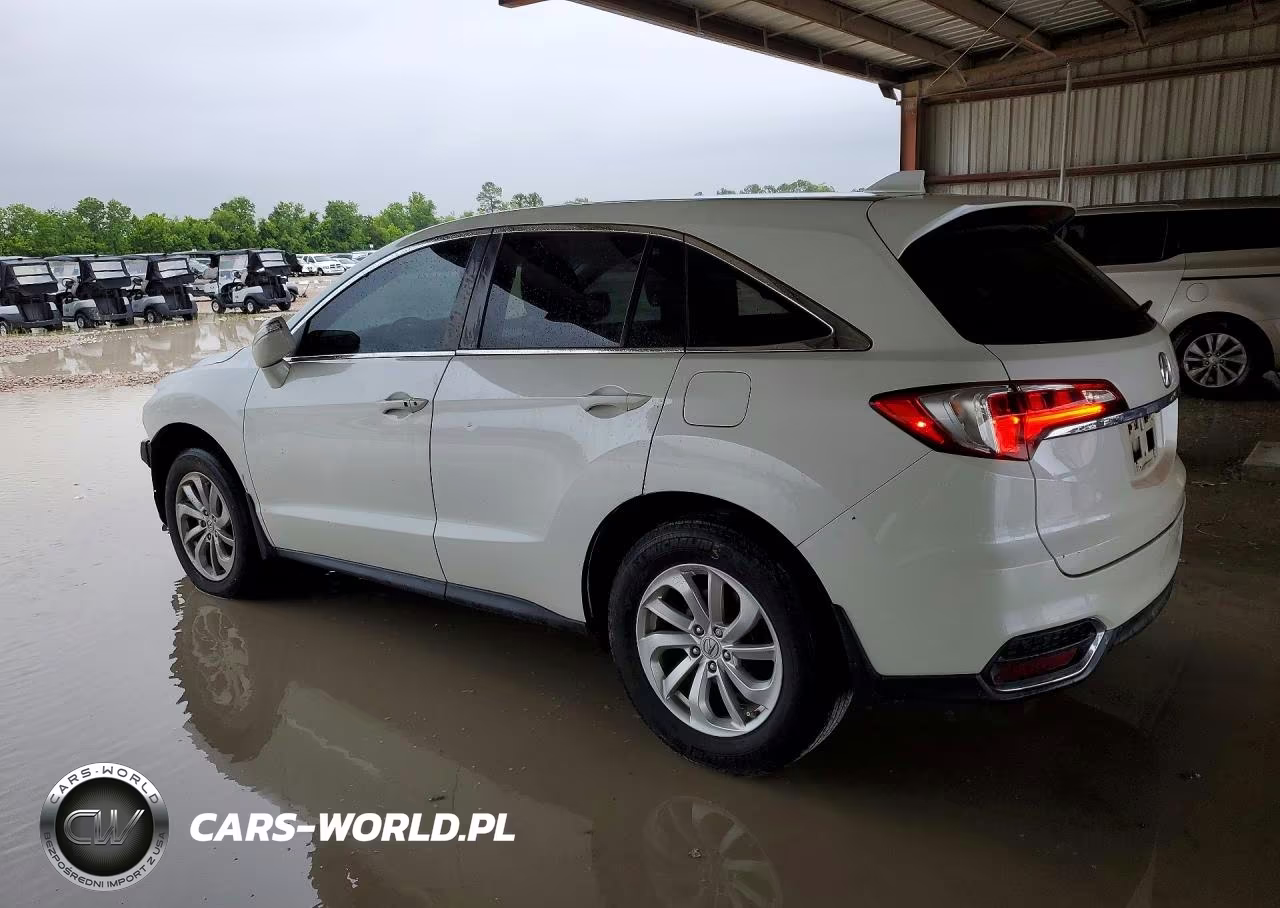 2016 Acura Rdx Technology VIN:5J8TB4H55GL000875 - 2