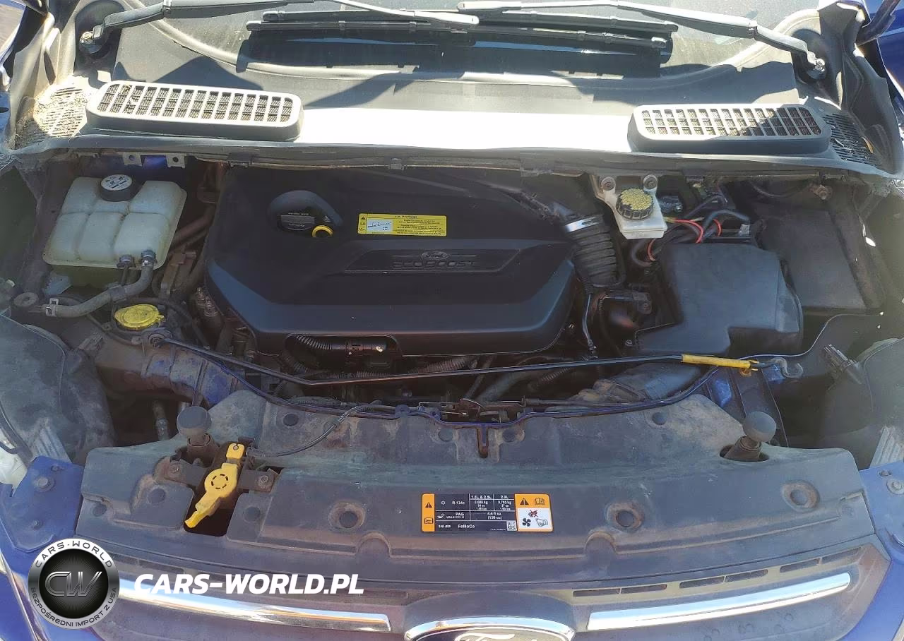 2013 Ford Escape Se VIN:1FMCU0GX1DUC55206 - 11