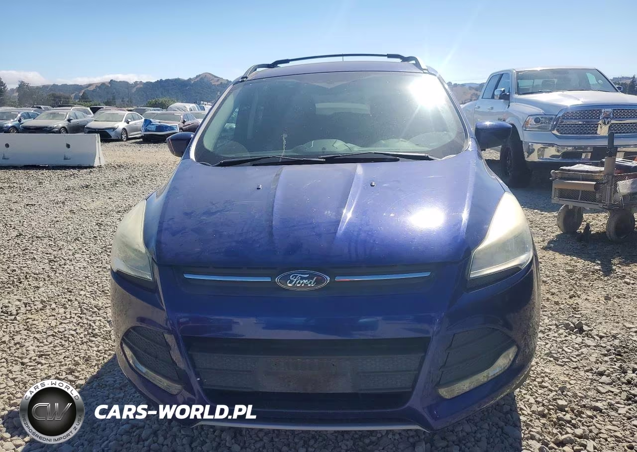 2013 Ford Escape Se VIN:1FMCU0GX1DUC55206 - 5