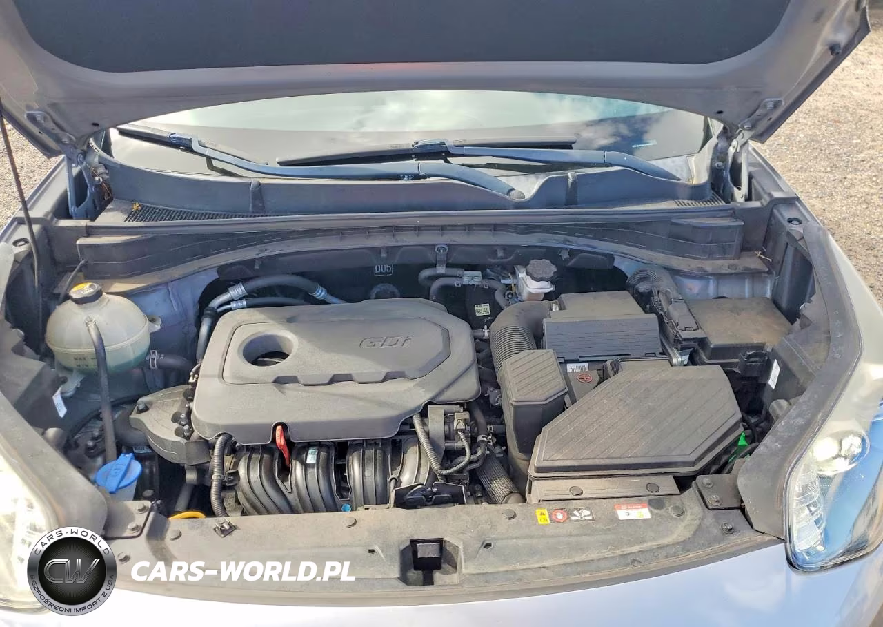 2020 Kia Sportage S VIN:KNDP63AC5L7684997 - 12