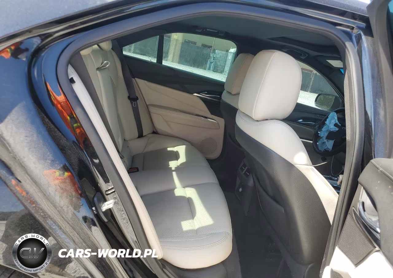 2020 Cadillac Ct4 Premium Luxury VIN:1G6DB5RL0L0151787 - 10