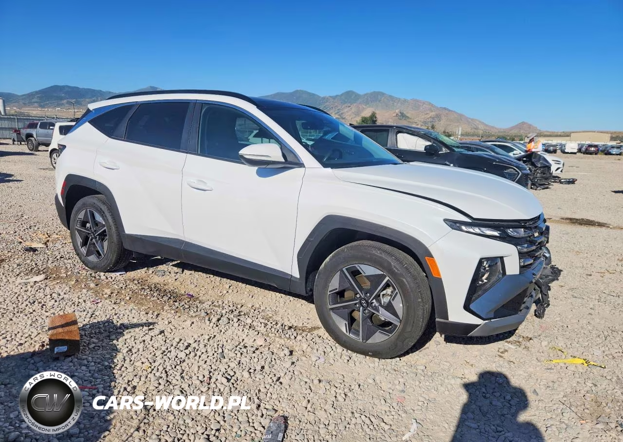 2025 Hyundai Tucson Sel Convenience VIN:KM8JCDD14SU262438 - 4