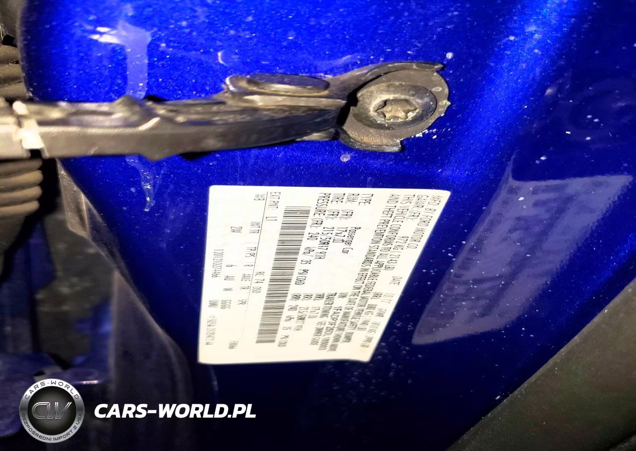 2013 Ford Focus VIN:1FADP3F25DL185003 - 12