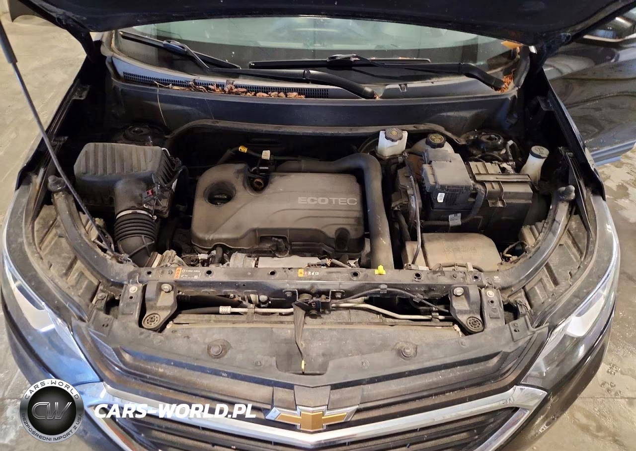 2019 Chevrolet Equinox Lt VIN:2GNAXJEV0K6224171 - 12
