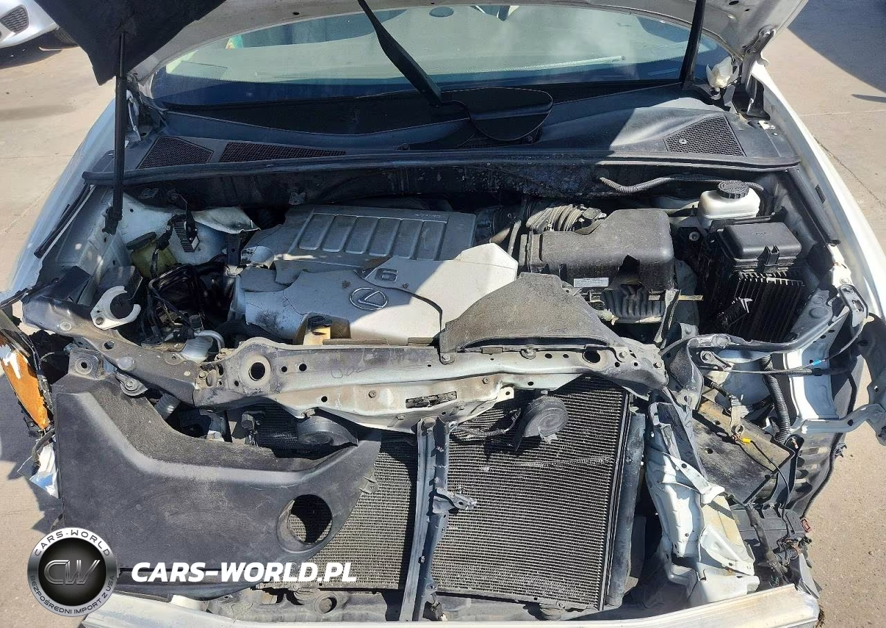 2007 Lexus Rx 350 VIN:2T2GK31U67C014184 - 11
