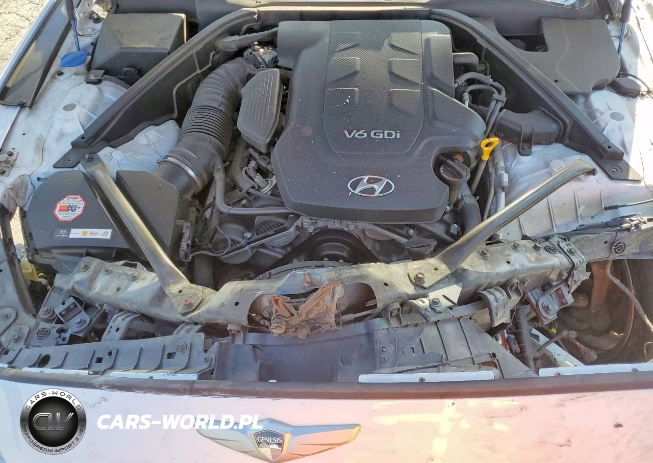 2015 Hyundai Genesis 3.8L VIN:KMHGN4JE8FU071056 - 11