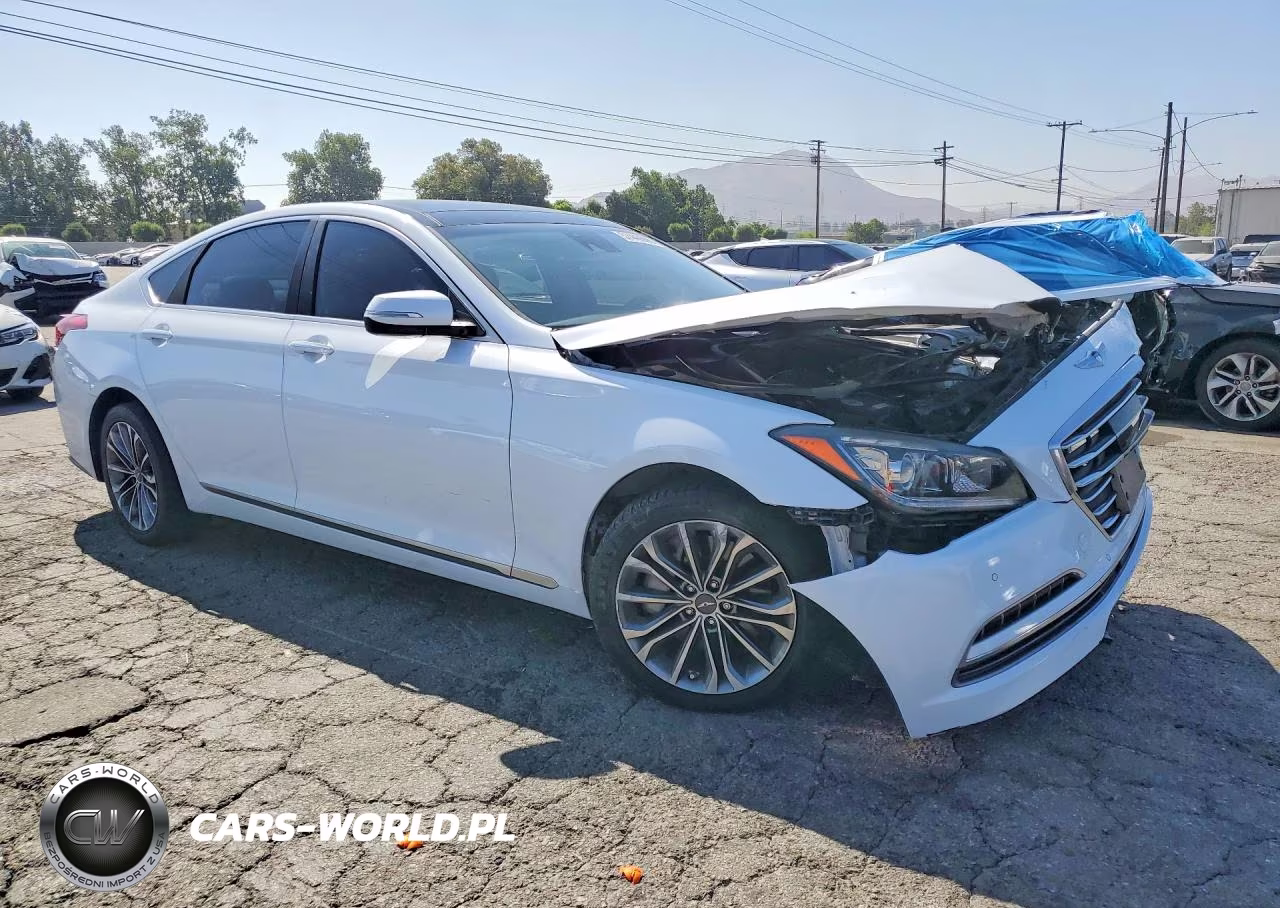 2015 Hyundai Genesis 3.8L VIN:KMHGN4JE8FU071056 - 4