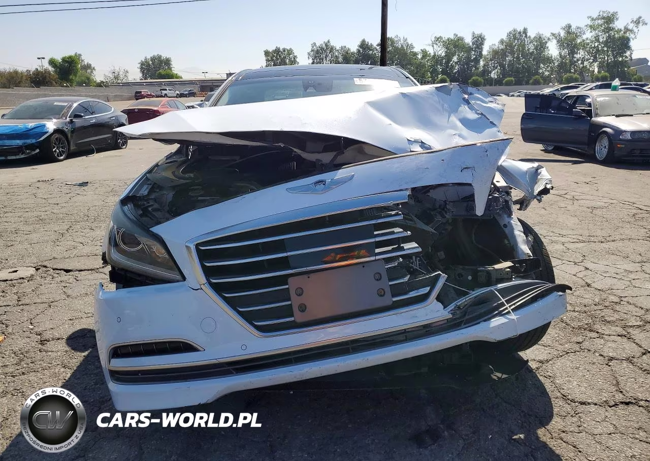 2015 Hyundai Genesis 3.8L VIN:KMHGN4JE8FU071056 - 5