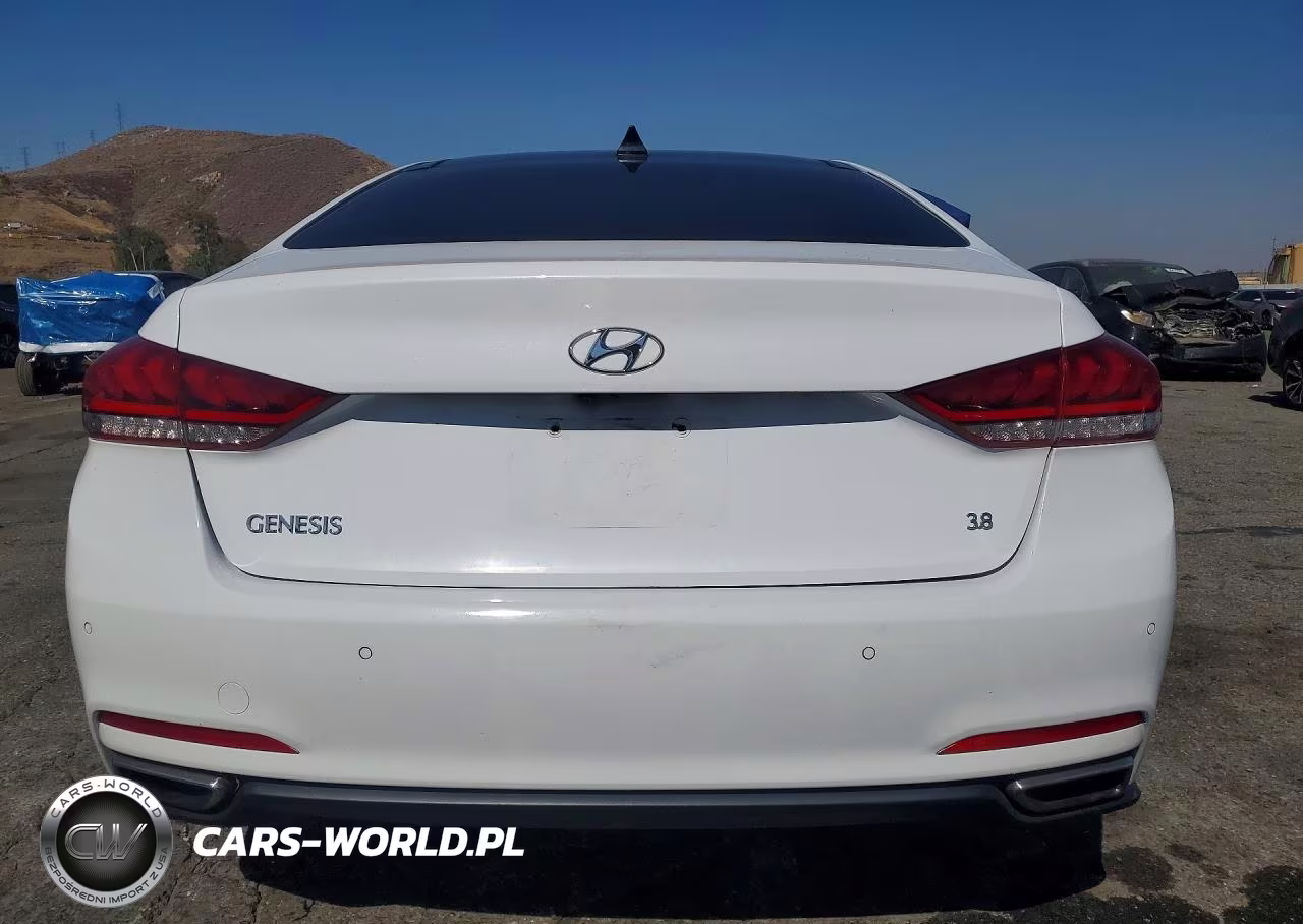 2015 Hyundai Genesis 3.8L VIN:KMHGN4JE8FU071056 - 6